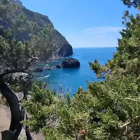 Lägenhet La Torretta Sul Porto - Parcheggio Gratuito Livorno
